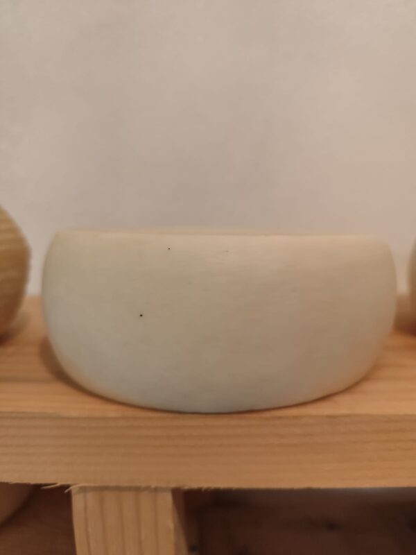 Formaggio di Capra Fresco Pastorizzato  € 16,00 al Kg.