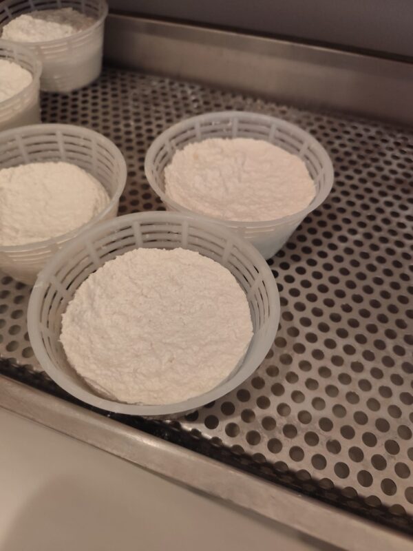 Ricotta di Capra in confezione  € 10,00 al Kg. - immagine 2