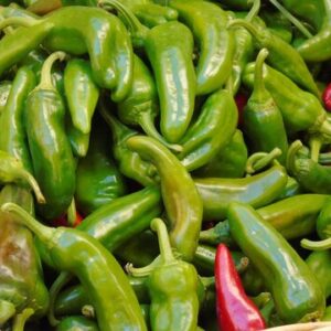 Peperoni Friggitelli € 3,5 al Kg.