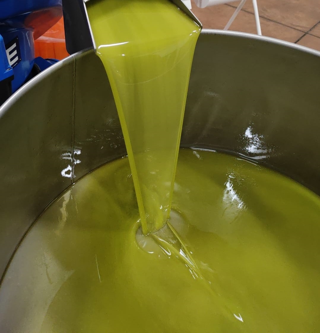 Olio extravergine di oliva di Sicilia (Estratto a freddo)