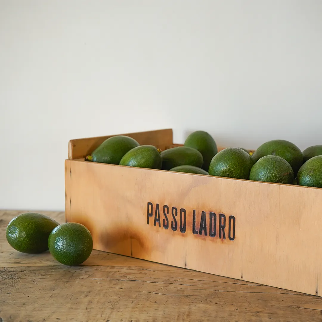 Avocado Bacon Bio